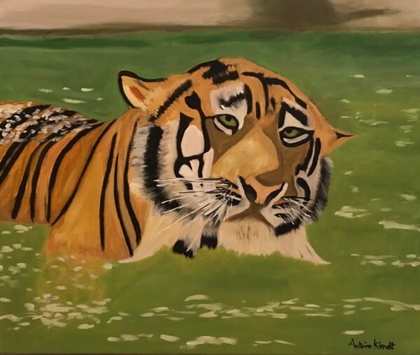 Tigre dans l'eau (Tiger in the water)