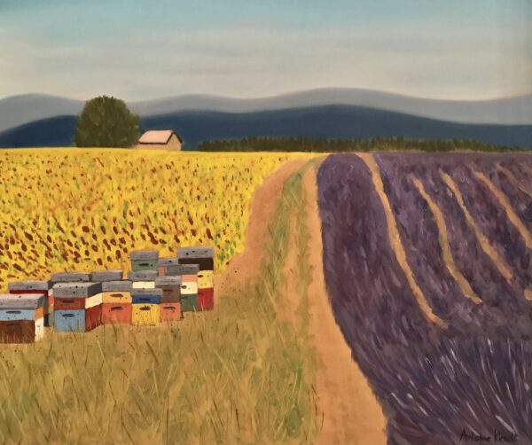 Ruches, lavandes et tournesols (Beehives, lavender and sunflowers)