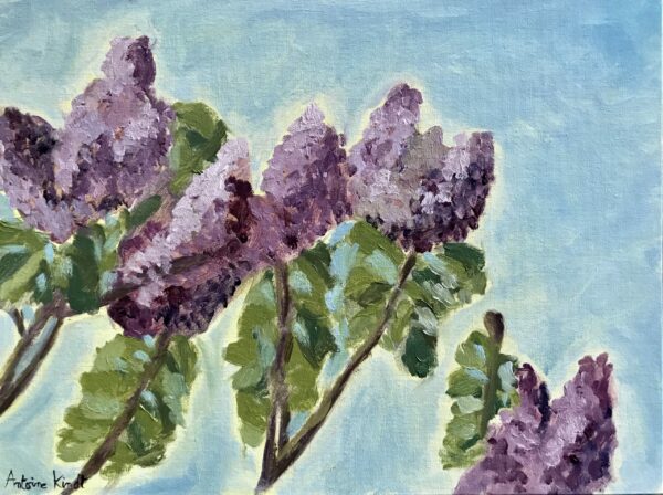 Le lilas (Lilac) 