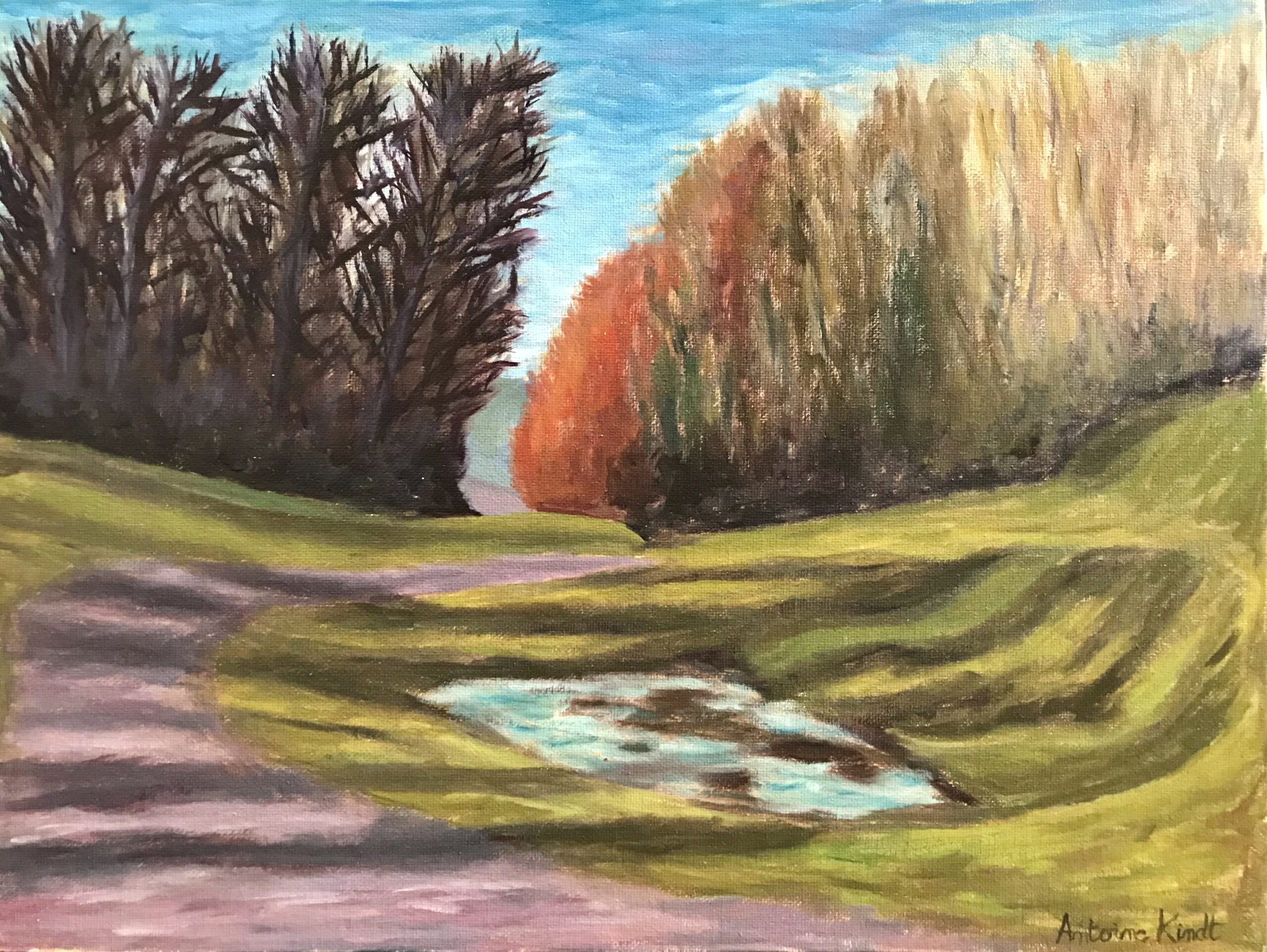 "Trees and shadows" painting