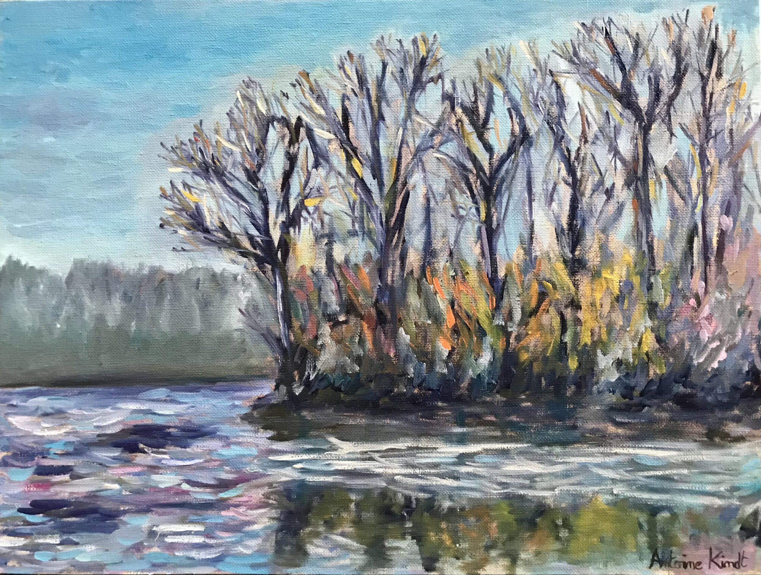 "Trees and lake" painting