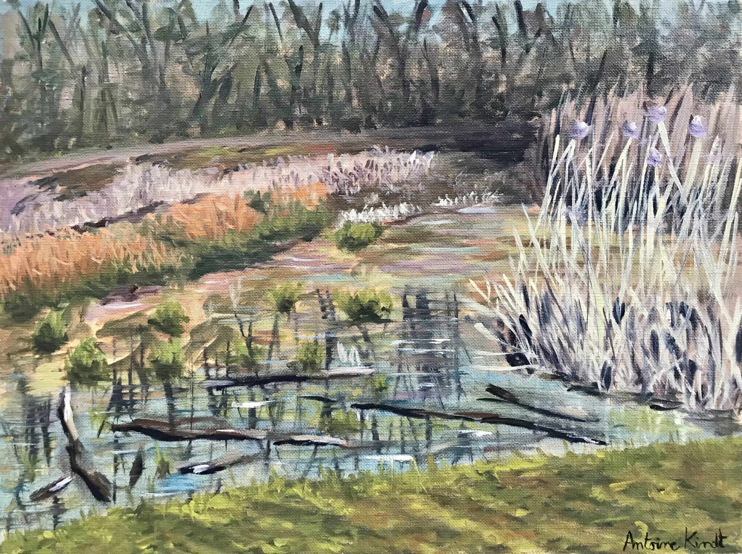 "Messy pond" painting